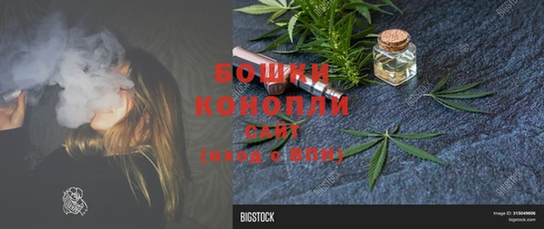 PSILOCYBIN Балахна