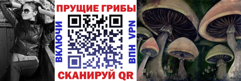 как найти закладки  Изобильный  Галлюциногенные грибы Magic Shrooms 